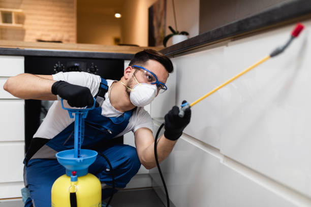 Best Emergency Pest Control  in St Helena, CA