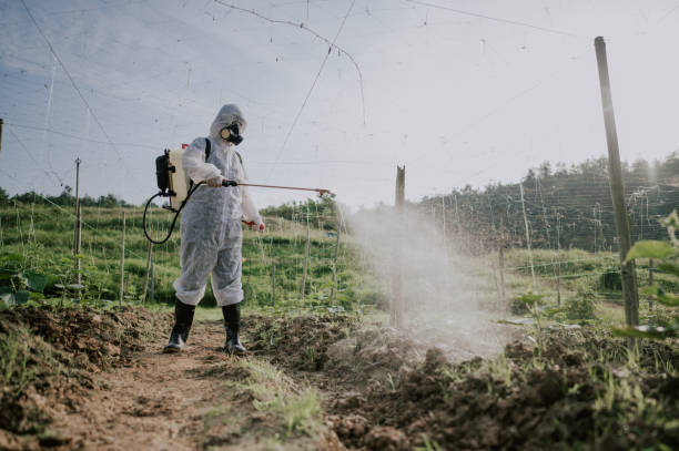 Best Pest Prevention Services  in St Helena, CA