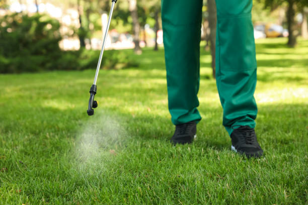 Best Insect Control  in St Helena, CA