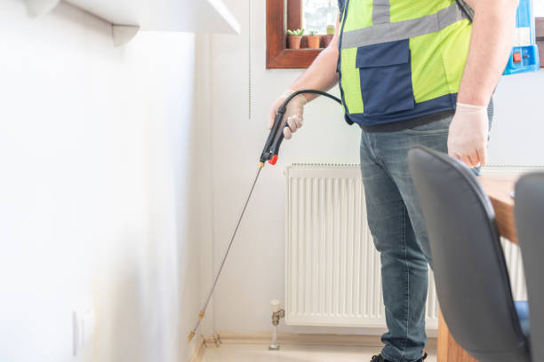 Best Flea Control Services  in St Helena, CA