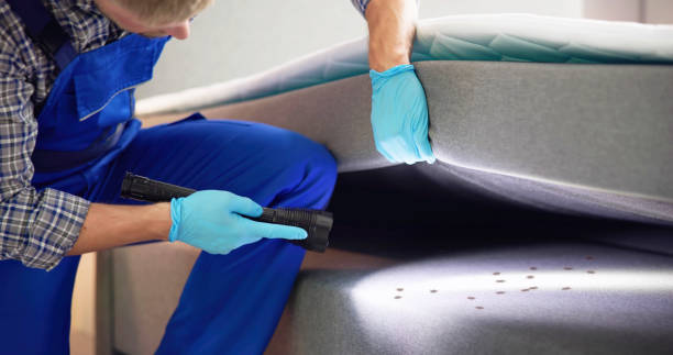 Best Best Pest Control Companies  in St Helena, CA