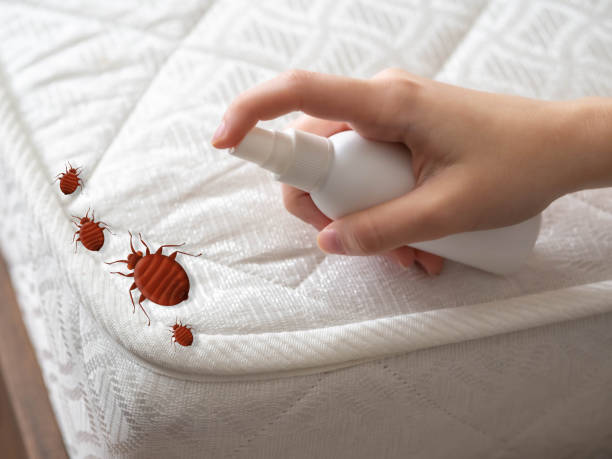 Best Best Pest Control Companies  in St Helena, CA