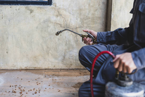 Best Pest Control for Businesses  in St Helena, CA